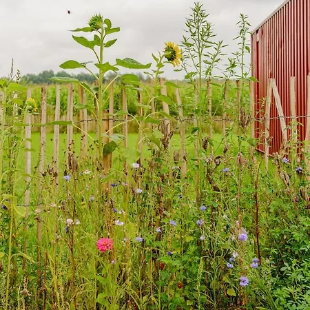 Achterbosch * Lieshout