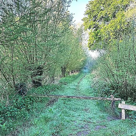 Achterbosch Alpehytte