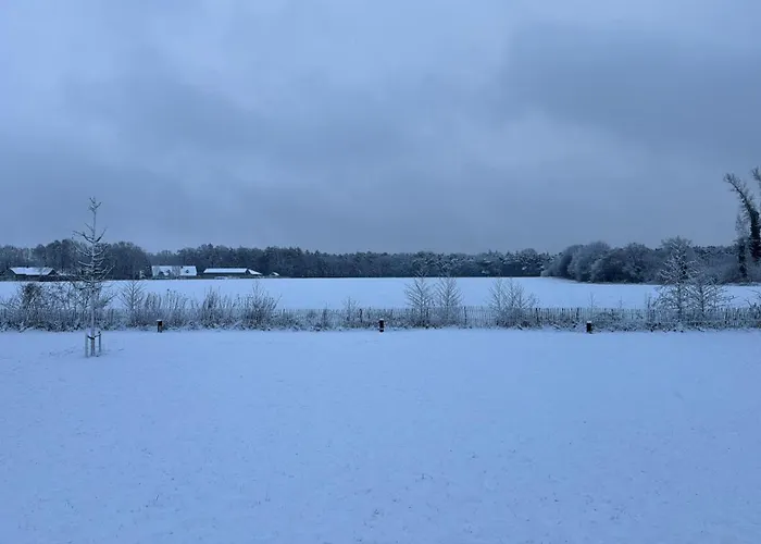 Achterbosch Chalet Lieshout